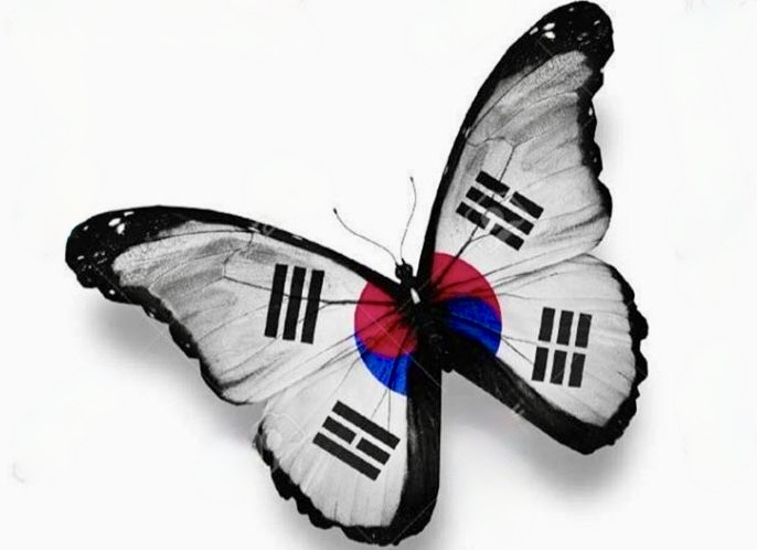 Drapeau coreen papillon